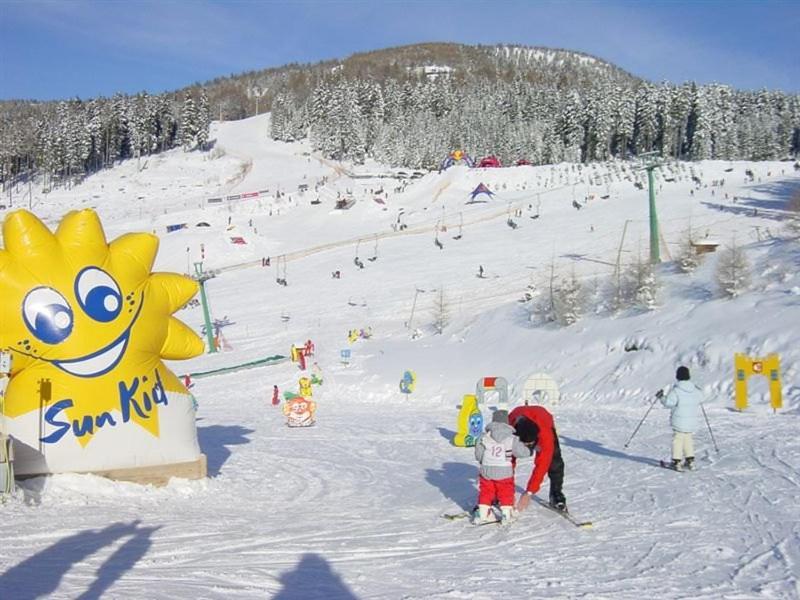 Apartment Wild - Im Skigebiet Gerlitzen & Ossiacher See 博登斯多夫 外观 照片